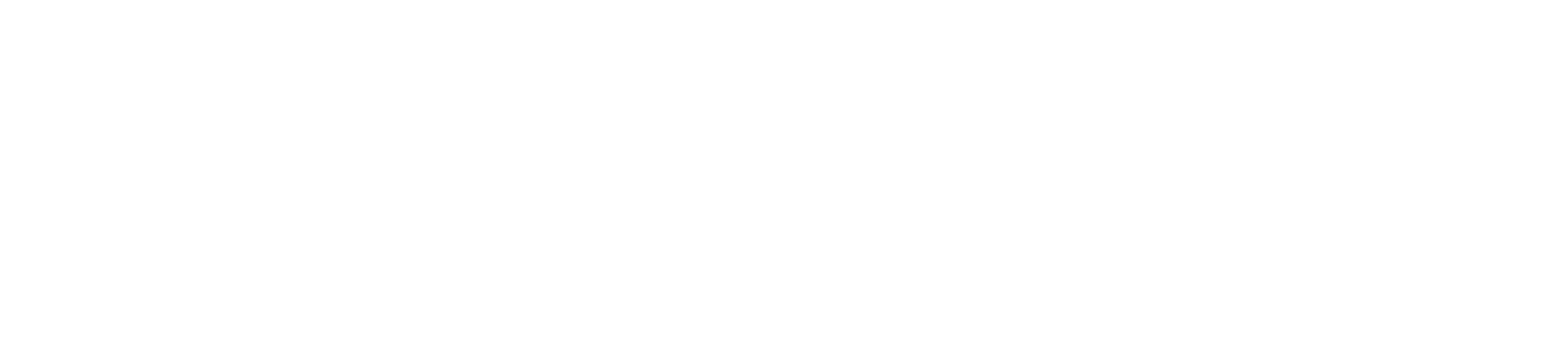S_logo_FMC_CRT_WHITE